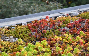 the cost of Coatham Mundeville green roof installation