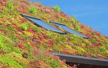 Coatham Mundeville living roof systems