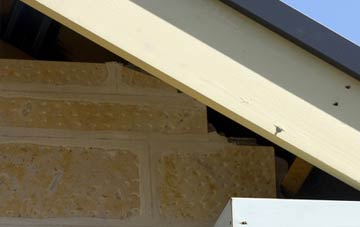 soffit repair Coatham Mundeville