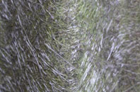 Coatham Mundeville fibreglass roof work